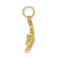 Load image into Gallery viewer, 14K Polished Engraved FISH Charm
