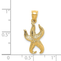 Load image into Gallery viewer, 14K Textured Starfish Charm
