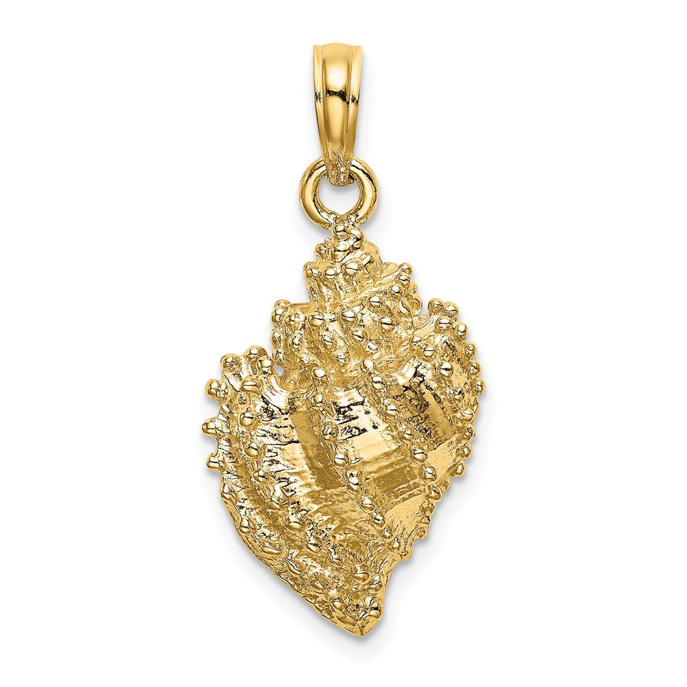 14K Textured Conch Shell Charm