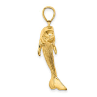 Load image into Gallery viewer, 14K Polished and Textured Jumping Dolphin Charm
