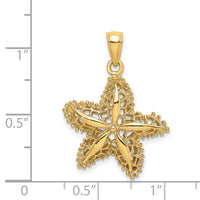 Load image into Gallery viewer, 14K Starfish Filigree Charm
