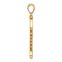 Load image into Gallery viewer, 14K 3-D Polished/ Textured Fishbone Charm
