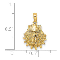 Load image into Gallery viewer, 14K Lion&#39;s Paw Shell Charm
