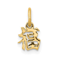 Load image into Gallery viewer, 14k Chinese Symbol Good Luck Charm
