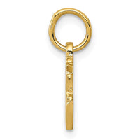 Load image into Gallery viewer, 14k Chinese Symbol Good Luck Charm
