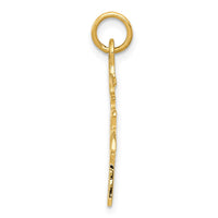 Load image into Gallery viewer, 14k Solid Polished Chinese Long Life Charm
