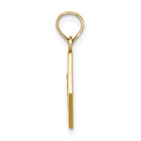 Load image into Gallery viewer, 14K Caduceus Textured Back Medical Charm
