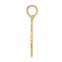 Load image into Gallery viewer, 14K Star Of David In Scalloped Circle Charm
