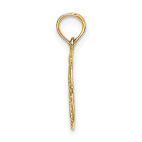 Load image into Gallery viewer, 14K Engraved Star Of David In Circle Charm
