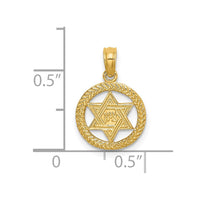 Load image into Gallery viewer, 14K Engraved Star Of David In Circle Charm
