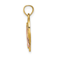 Load image into Gallery viewer, 14K Two-tone w/White Rhodium Dolphin In Heart Charm
