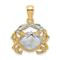 Load image into Gallery viewer, 14K with White Rhodium Polished Crab Charm
