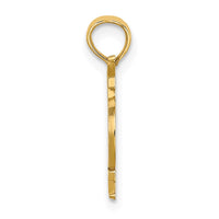 Load image into Gallery viewer, 14k with White Rhodium KEY WEST Bicycle Charm
