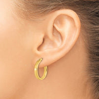 Load image into Gallery viewer, 14K Polished Earrings
