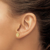 Load image into Gallery viewer, 14K Polished and Textured Disc Post Earrings
