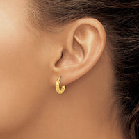 Load image into Gallery viewer, 14k Polished 3mm Polished Hoop Earrings
