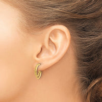 Load image into Gallery viewer, 14K Polished and Textured 2-Row J-Hoop Post Earrings

