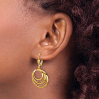 Load image into Gallery viewer, 14K Polished and Diamond-cut Circles Dangle Leverback Earrings
