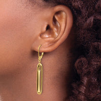 Load image into Gallery viewer, 14K Polished Dangle Leverback Earrings
