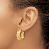 Load image into Gallery viewer, 14k Polished and D/C Half Round Circle Hoop Earrings

