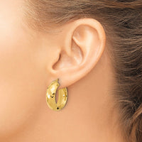 Load image into Gallery viewer, 14k Polished and D/C Half Round Circle Hoop Earrings
