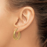 Load image into Gallery viewer, 14K Polished 3-row Round Hoop Earrings
