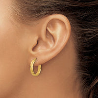 Load image into Gallery viewer, 14K Polished and Satin Round Hoop Earrings
