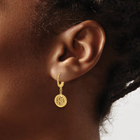 Load image into Gallery viewer, 14K Polished Fancy Filigree Circle Leverback Dangle Earrings
