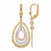 14K Tri-color Polished and D/C Leverback Earrings