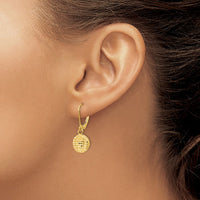 Load image into Gallery viewer, 14K Polished D/C Leverback Earrings
