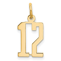 Load image into Gallery viewer, 14k Small Elongated Number 12 Charm
