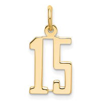Load image into Gallery viewer, 14k Small Elongated Number 15 Charm
