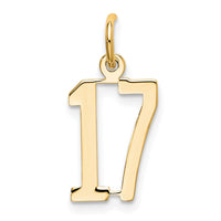 Load image into Gallery viewer, 14k Small Elongated Number 17 Charm
