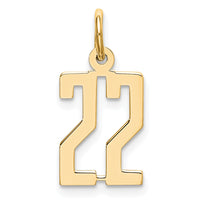Load image into Gallery viewer, 14k Small Elongated Number 22 Charm
