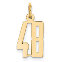 Load image into Gallery viewer, 14k Small Elongated Number 48 Charm
