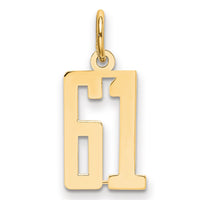 Load image into Gallery viewer, 14k Small Elongated Number 61 Charm
