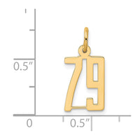 Load image into Gallery viewer, 14k Small Elongated Number 79 Charm

