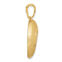 Load image into Gallery viewer, 14k Satin D/C Nautilus Shell Pendant
