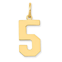 Load image into Gallery viewer, 14k Medium Polished Number 5 Charm
