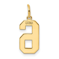 Load image into Gallery viewer, 14k Medium Polished Number 6 Charm
