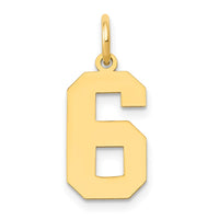 Load image into Gallery viewer, 14k Medium Polished Number 6 Charm
