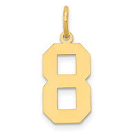 Load image into Gallery viewer, 14k Medium Polished Number 8 Charm
