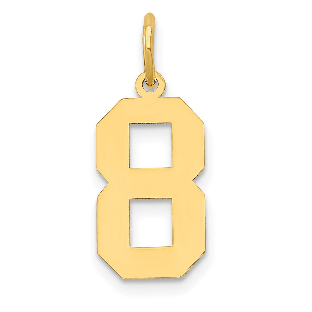 14k Medium Polished Number 8 Charm