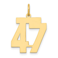 Load image into Gallery viewer, 14k Medium Polished Number 47 Charm
