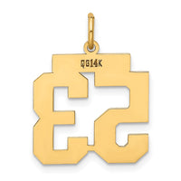 Load image into Gallery viewer, 14k Medium Polished Number 53 Charm
