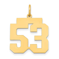 Load image into Gallery viewer, 14k Medium Polished Number 53 Charm
