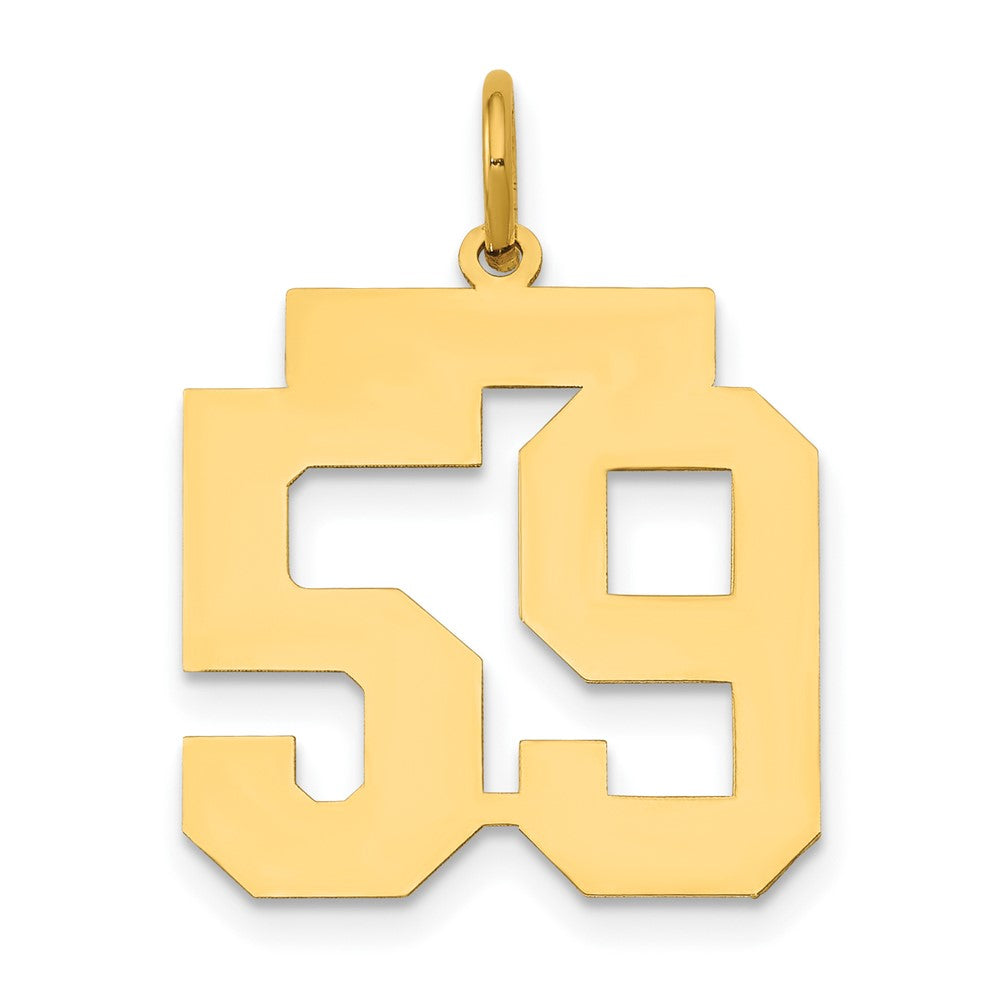 14k Medium Polished Number 59 Charm