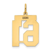 Load image into Gallery viewer, 14k Medium Polished Number 61 Charm
