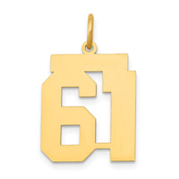 Load image into Gallery viewer, 14k Medium Polished Number 61 Charm
