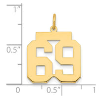 Load image into Gallery viewer, 14k Medium Polished Number 69 Charm
